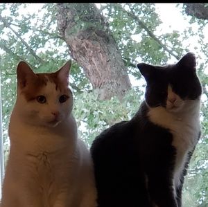 Meet your Posher, Dawn